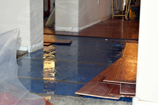 Professional Basement Flood Cleanup technician working in Fairwater, WI